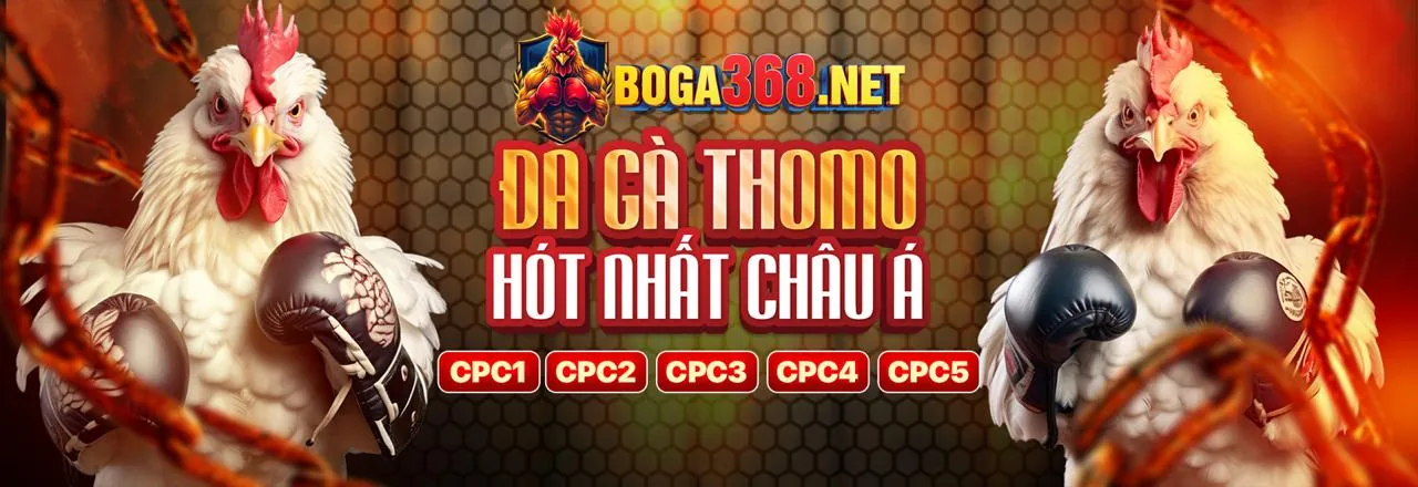 Hình ảnh đại diện quy tắc và cách chơi tại 2bong nhà cái